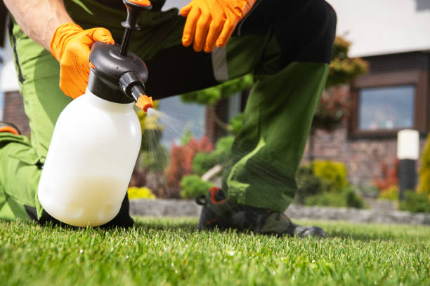 Best Exterminator Services  in Three Oaks, FL