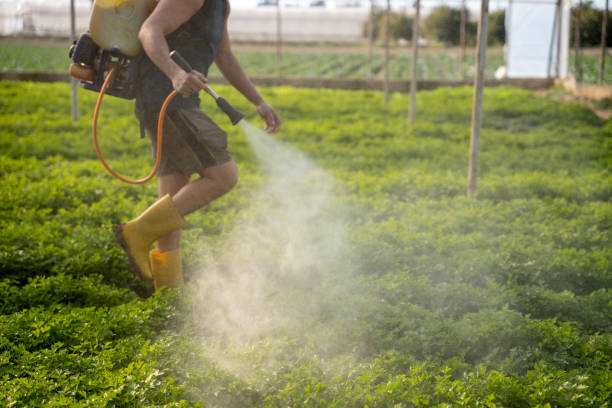 Best Pest Removal Services  in Three Oaks, FL