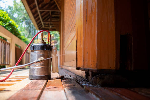 Best Pest Control for Restaurants  in Three Oaks, FL