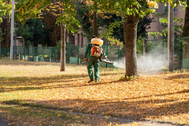 Best Wasp Removal Services  in Three Oaks, FL