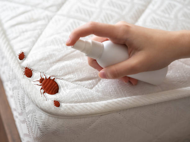 Best Best Pest Control Companies  in Three Oaks, FL