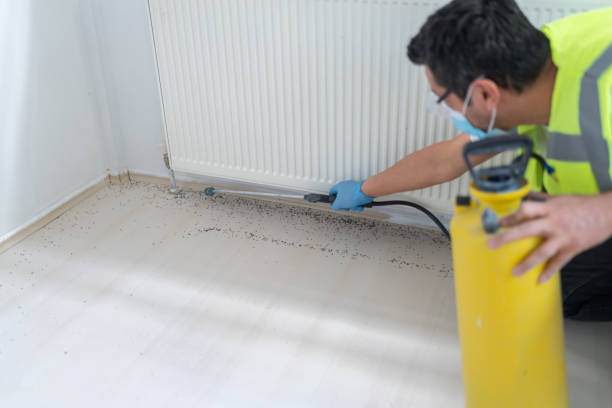 Best Cockroach Control Services  in Three Oaks, FL